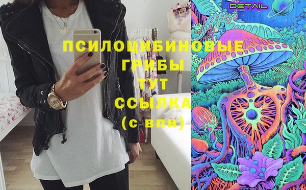альфа пвп Надым