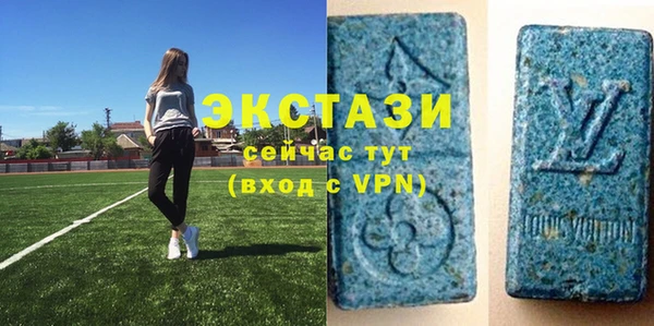 индика Долгопрудный