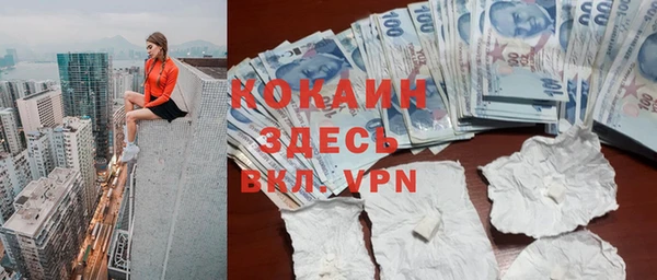 ГАЛЛЮЦИНОГЕННЫЕ ГРИБЫ Наволоки