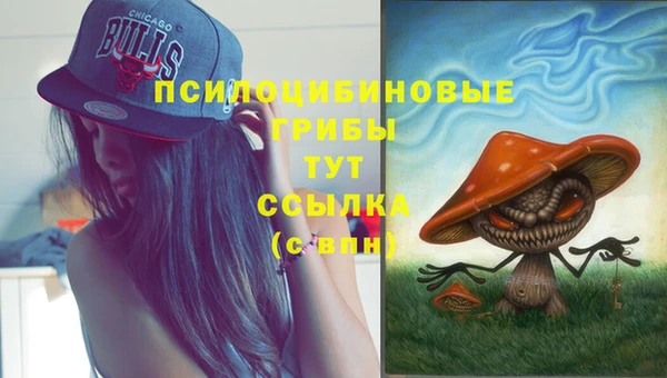 ГАЛЛЮЦИНОГЕННЫЕ ГРИБЫ Наволоки