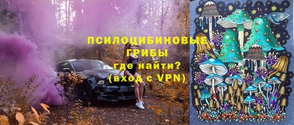 ГАЛЛЮЦИНОГЕННЫЕ ГРИБЫ Наволоки