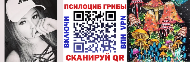 Псилоцибиновые грибы Cubensis  Щёлково 